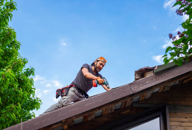 Best Roof Waterproofing  in Paynesville, MN