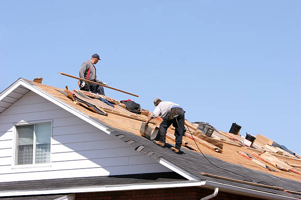 Skylights in Paynesville, MN