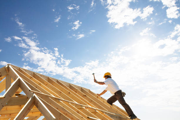 Best Roof Maintenance and Cleaning  in Paynesville, MN